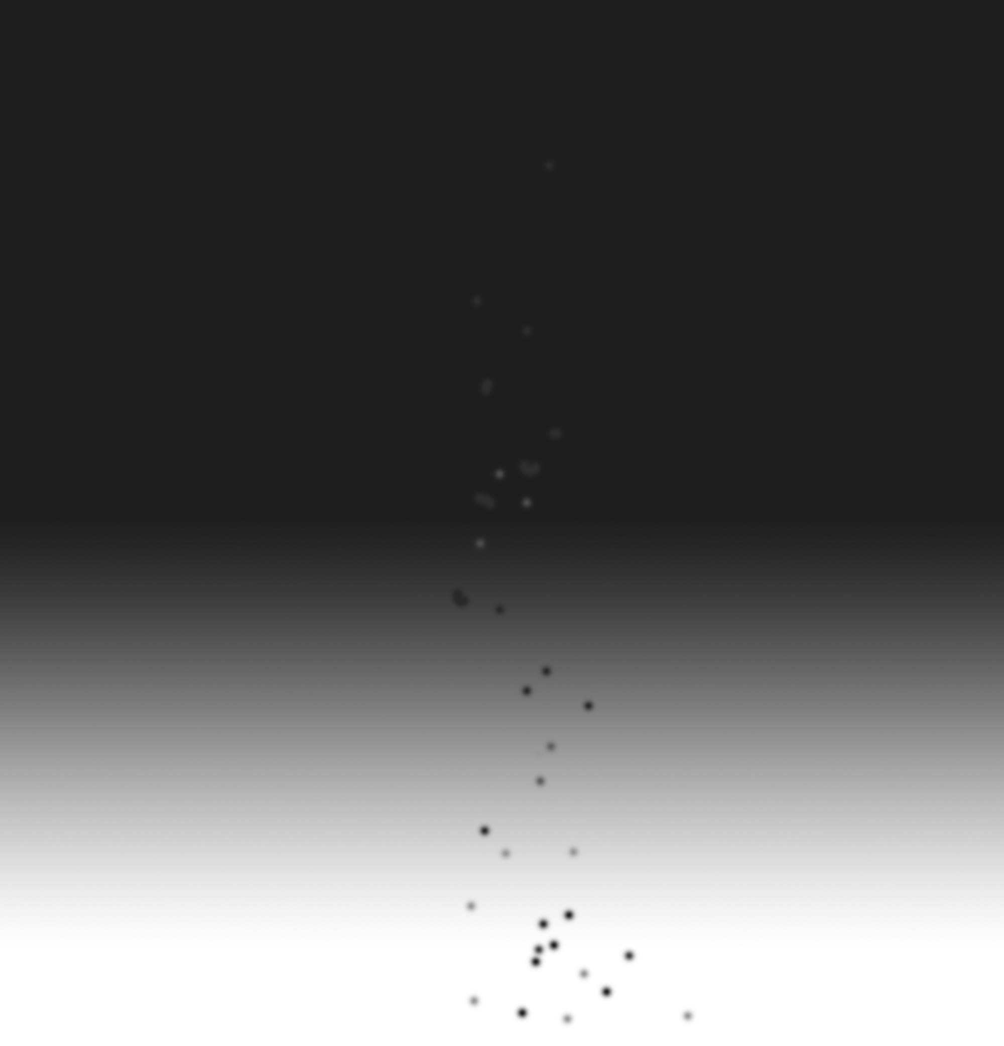 NG_02.jpg
