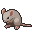 Mouse :mouse: :mouse: